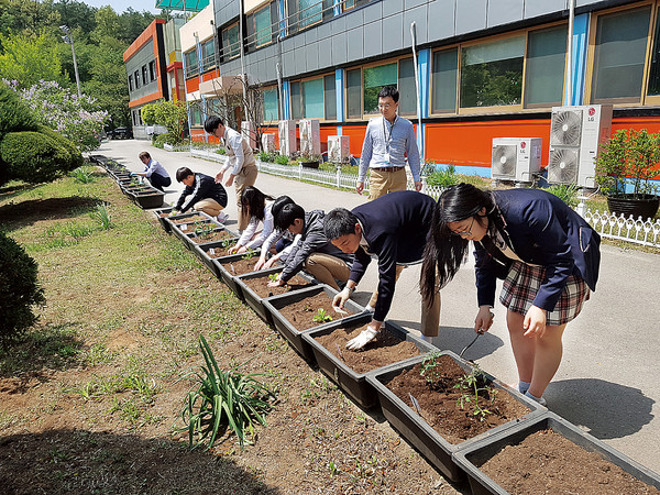 분진중학교4-H회는 '학교 안 상자 텃밭 가꾸기(쌈데이)'로 다양한 식물을 재배해 급식에 활용하고 있다.